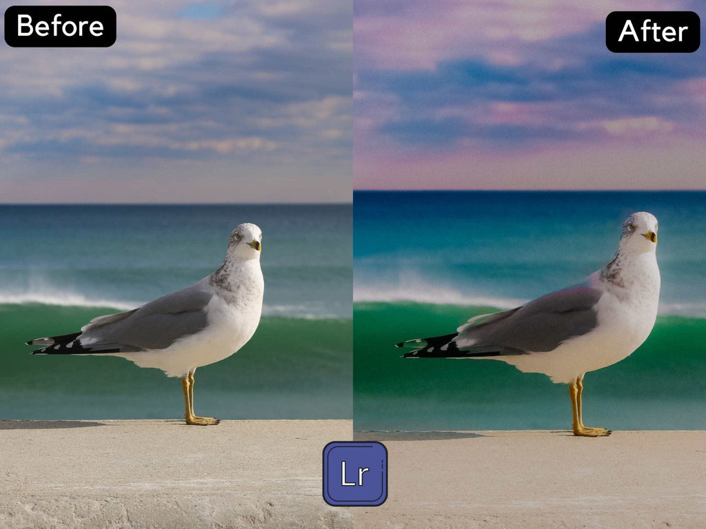 Colors Play Premium Lightroom Preset