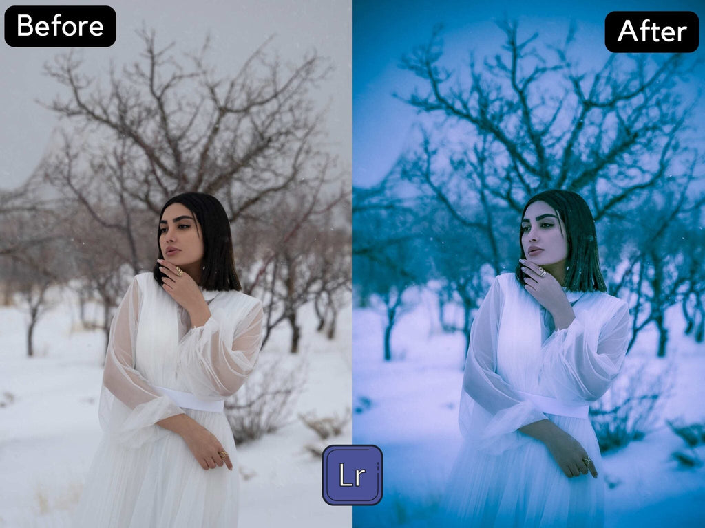 Snow Girl Premium Lightroom Preset
