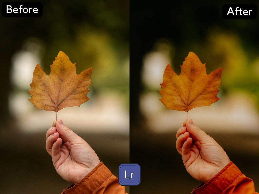 Colors Play Premium Lightroom Preset